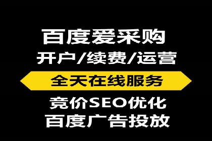 百度竞价SEM案例研究：提升转化率的关键策略